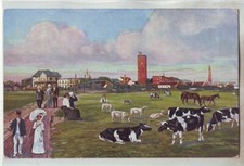 Nordeebadborkum strandklub lie gebraucht kaufen Nordeebadborkum strandklub lie gebraucht kaufen  Emden