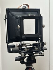 Gibellini bellatrix 8x10 for sale  Bensenville