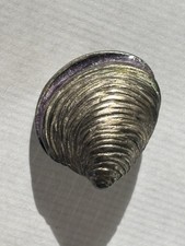 1997 quahog tie for sale  Chepachet