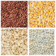 Milho da Guiné (Dawa) e Millet (Joro) comprar usado  Enviando para Brazil