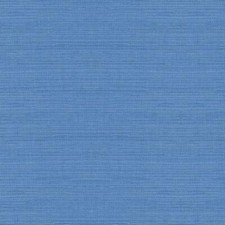 Redwood valley periwinkle for sale  Huntingdon Valley