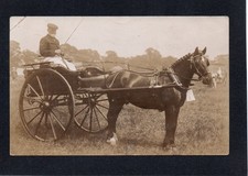 Postcard horse trap for sale  REDCAR