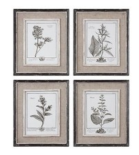 Antique style botanical for sale  USA