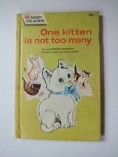 One kitten many for sale  Philadelphia