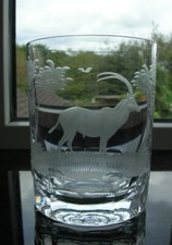 Rowland ward ibex for sale  GILLINGHAM