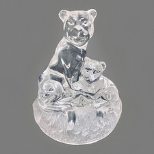 Rcr italy lioness for sale  PAISLEY