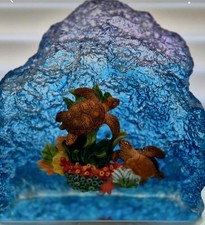 aquatic turtles for sale aquatic turtles for sale SHEFFIELD