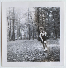 Boy short forest d'occasion  Expédié en Belgium