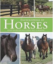 Horses used good for sale  UK