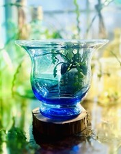 Large blue flared for sale  Franklinville