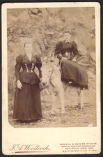 Victorian cabinet photo for sale  BASINGSTOKE
