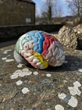Vintage 1960s anatomical for sale  UK