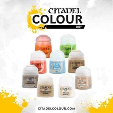 Colori citadel dry usato  Cassola