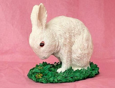 Bunny rabbit tom for sale  Mount Holly