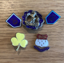 Enamel badges girl for sale  CHICHESTER
