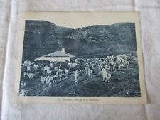 Planche cartonnee educative d'occasion  Prades