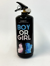 Gender reveal spray gebraucht kaufen  Laatzen