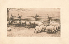Postcard art herd for sale  Valdese
