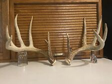 Large set saskatchewan for sale  USA
