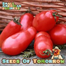 225 san marzano for sale  Betsy Layne