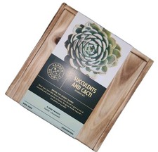 succulent garden kit for sale  Palatine