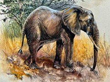 Afrikan elefant riginal gebraucht kaufen  Strausberg-Umland