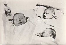 ***ORIGINAL POSTCARD***PRINZ JOHAN FRISO-KÖNIG WILLEM-ALEXANDER-ORANJE-MONARCHIE comprar usado  Enviando para Brazil