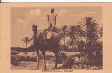 131 libia tripolitania usato  Acireale