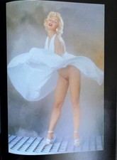 Erotica fotografie curiosa gebraucht kaufen  Berlin