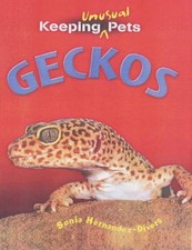 Geckos for sale  ROSSENDALE
