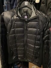 Canada goose hybridge for sale  Gaithersburg