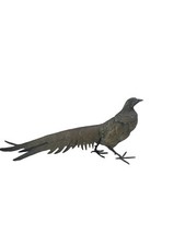 Brass pheasant peacock for sale  Brooksville