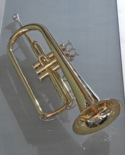ventilhorn gebraucht kaufen ventilhorn gebraucht kaufen Deutschland