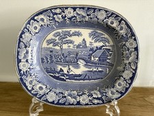 Gorgeous blue white for sale  LUTON