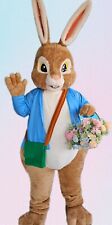 Peter rabbit lookalike for sale  LONDONDERRY