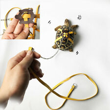 pet turtle for sale  HATFIELD