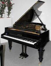 Flügel bechstein schwarz gebraucht kaufen  Egestorf