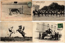 Horses cheval chevaux d'occasion  Expédié en Belgium