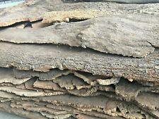 Corteccia sughero lingue usato  Barletta