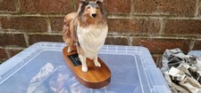 Lovely beswick shetland for sale  MARKET DRAYTON