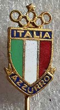 Distintivo coni azzurri usato  Virle Piemonte