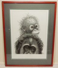 Plea rainforest gary for sale  EASTBOURNE