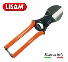 lisam forbici usato  San Tammaro