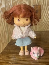 Strawberry shortcake berry for sale  Jenkintown
