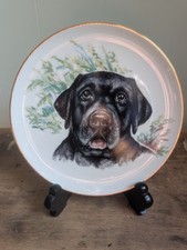 Labrador retriever decorative for sale  Milwaukee