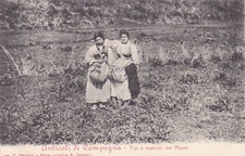 Fiuggi anticoli campagna usato  Roma