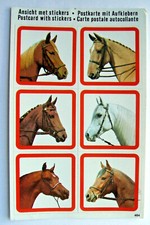 Postcard shire horses for sale  MILTON KEYNES