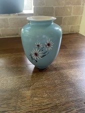Vintage duck egg for sale  GUILDFORD