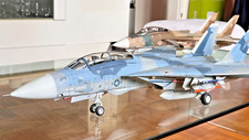 14a tomcat 159855 gebraucht kaufen  Düsseldorf