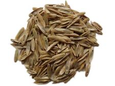 Ray grass italien d'occasion Ray grass italien d'occasion  Puy-Guillaume